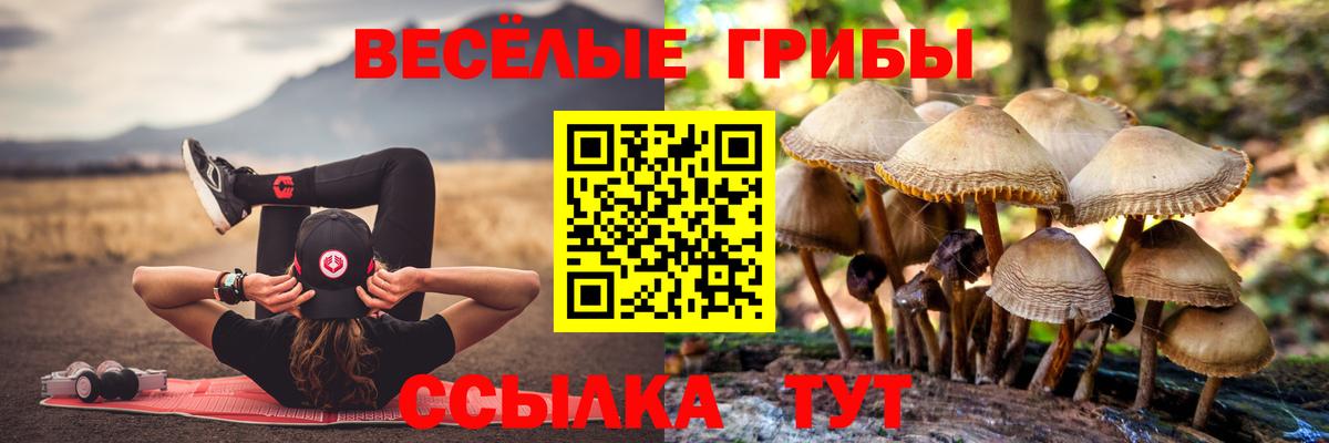 Псилоцибиновые грибы мухоморы  Вход с VPN  Кольчугино 