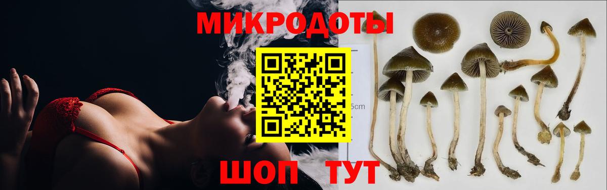Галлюциногенные грибы мицелий Кольчугино